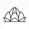 Delhi Delhi